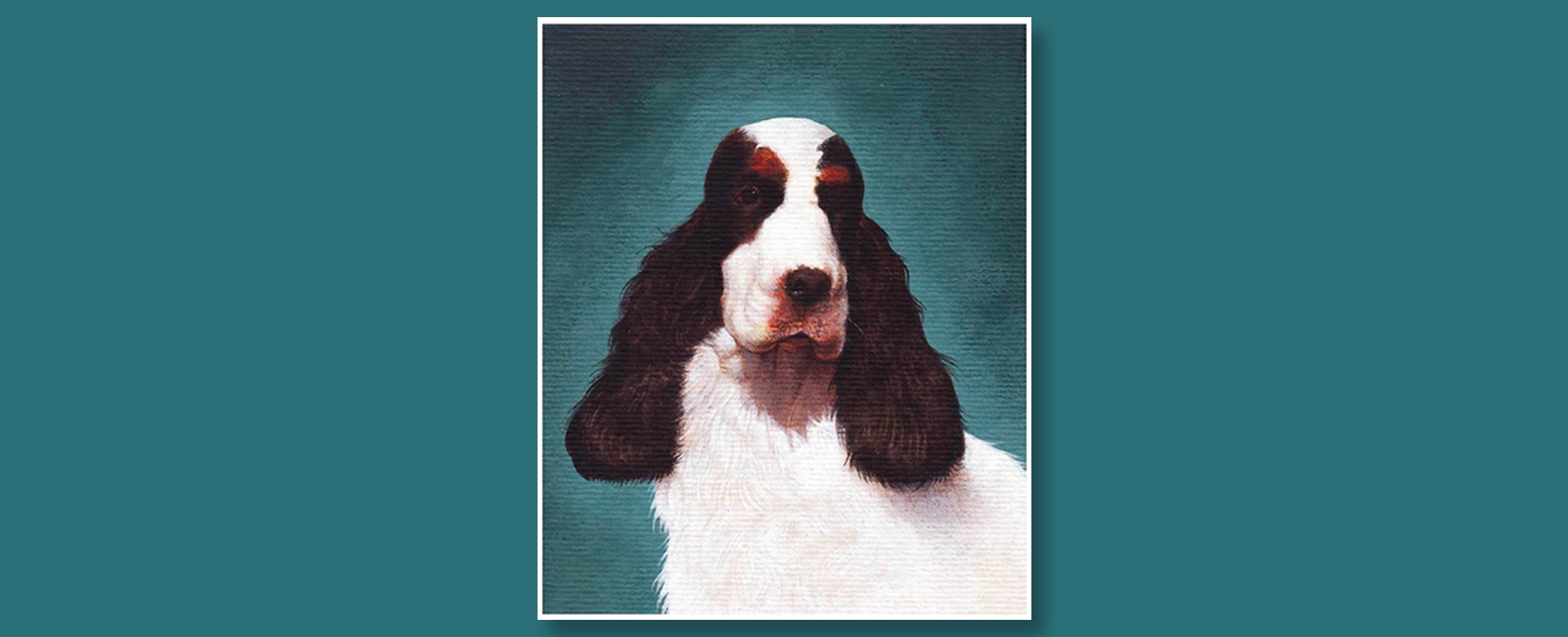 Chambre des échos : Elia David, Your Canine Portraitist