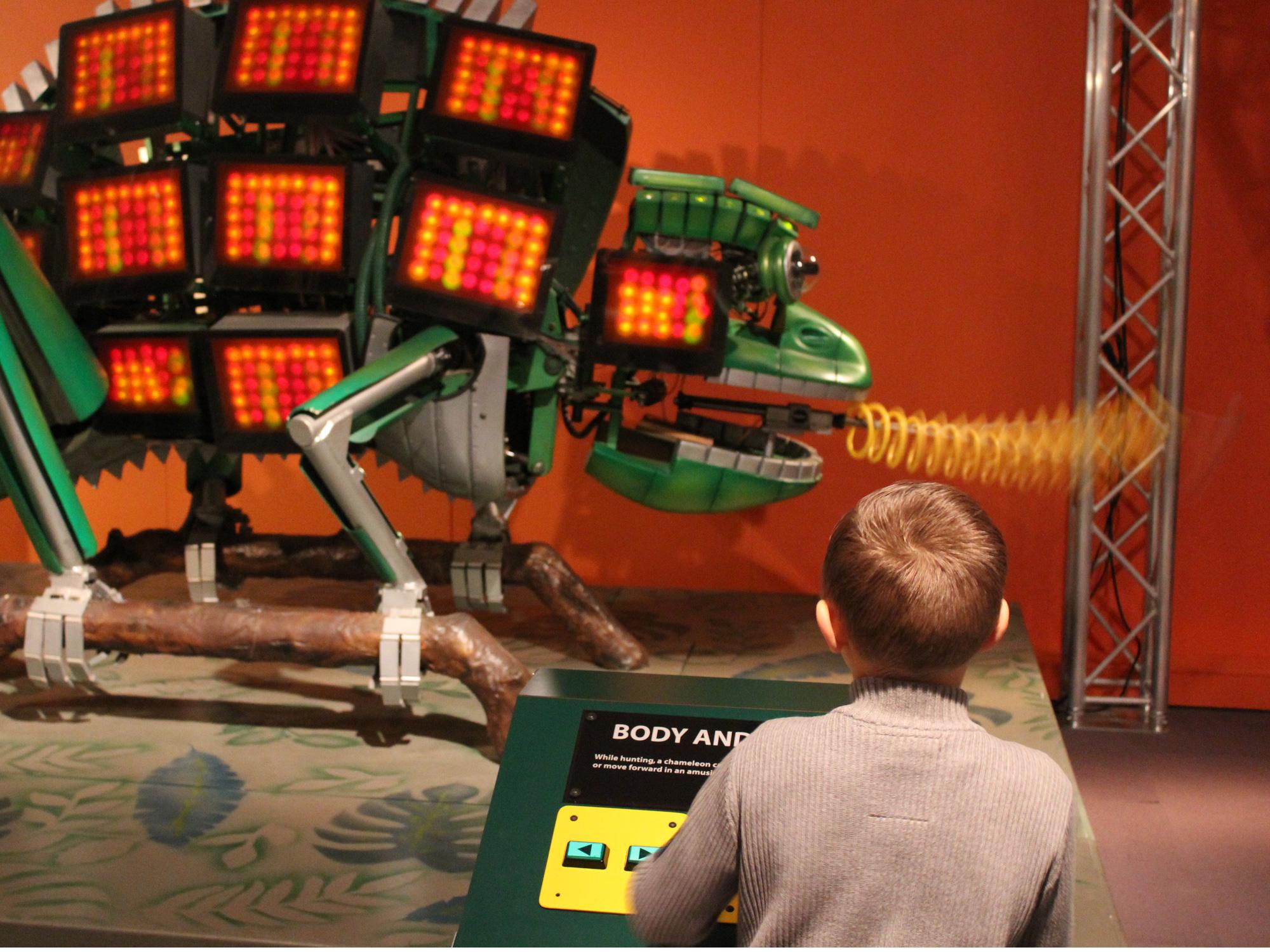 The Robot Zoo