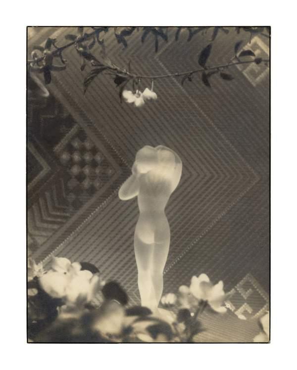 Light and Magic The Birth of art photography